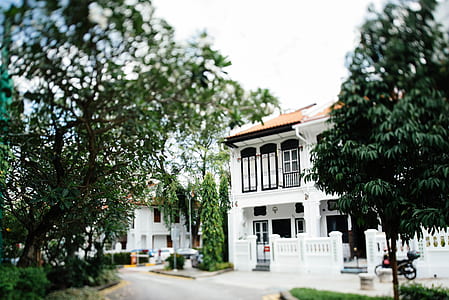 white house surrounded with trees thumbnail