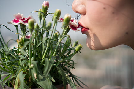 woman near red and white maiden's pink flowers thumbnail