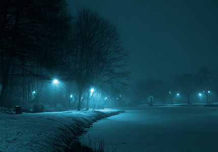 turned on lamp posts surrounded by withered trees near frosted lake thumbnail