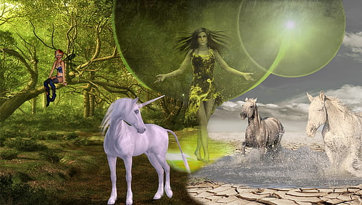 fairy standing between unicorn and two running horses digital wallpaper thumbnail