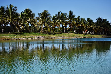 body of water near island thumbnail