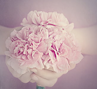 pink petaled flower thumbnail