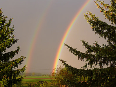 green grass field over the rainbow thumbnail