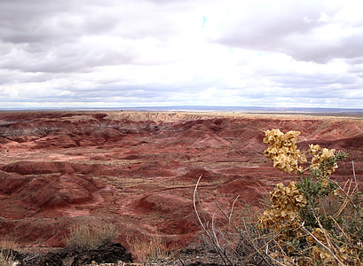 Petrified Forest National Park thumbnail
