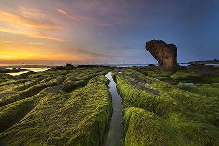 body of water and grassfield thumbnail
