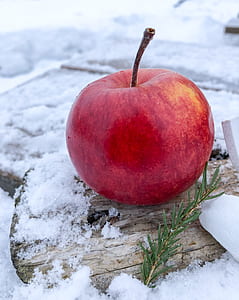honeycrisp apple thumbnail
