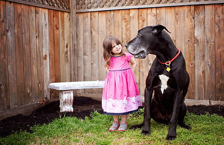 child in pink short-sleeved dress standing next to dog thumbnail