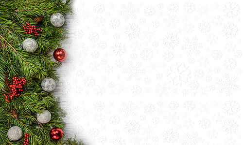 closeup photo of green Christmas tree thumbnail