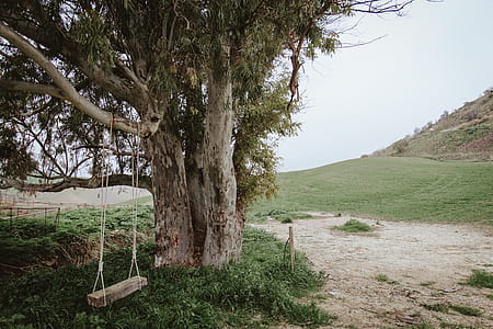 Empty Swing thumbnail