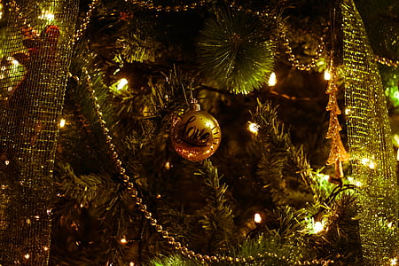 Shallow Photography of Christmas Decor thumbnail