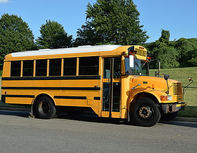 yellow school bus near trees thumbnail