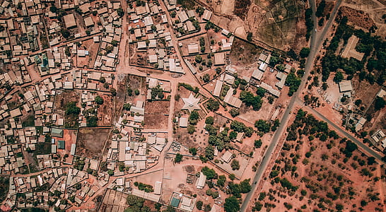 aerial photography of city buildings thumbnail