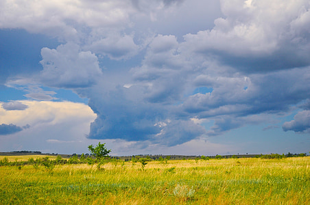 green grass field thumbnail