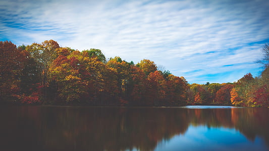 river between trees under cloudy sky thumbnail