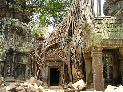 green and brown tribe temple thumbnail
