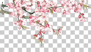 Pixel, Watercolor peach blossom peach tree, pink flowering tree PNG clipart