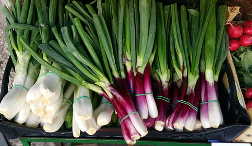 scallions thumbnail