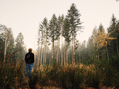 man wearing jacket standing on grass staring at tree during daytime thumbnail