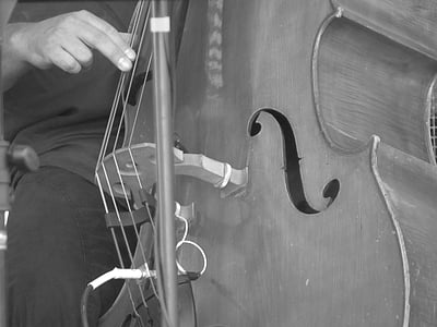 grayscale person playing string guitar thumbnail