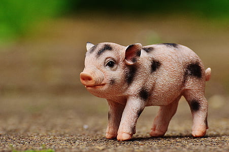 pink and black piglet figurine on brown surface thumbnail