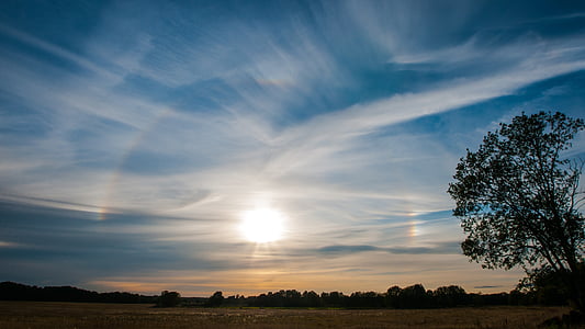brown field under white sky thumbnail