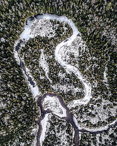 aerial photography of river in the middle of the forest thumbnail