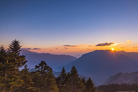 pine tree near mountain range under golden hour thumbnail