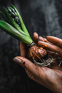 Woman making a little ornamental seedling in a small jar thumbnail