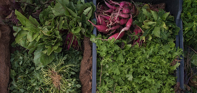 assorted vegetables during daytime thumbnail