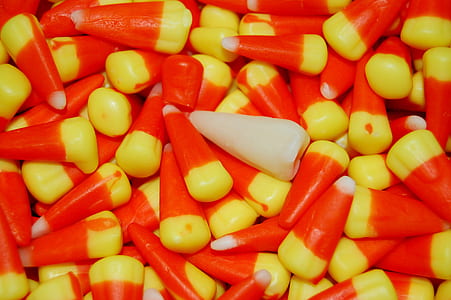 multicolored corn kernels thumbnail
