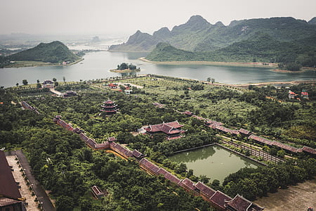 bird's-eye view of pagoda and trees thumbnail