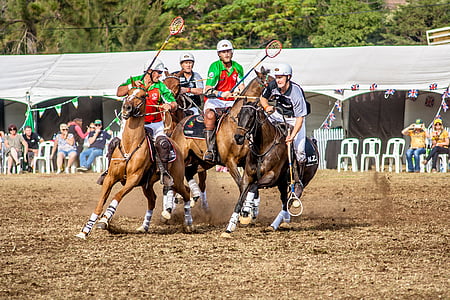men playing polo at daytime thumbnail