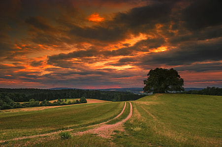 green grass field with vehicle track under the cloudy sky during daytime thumbnail