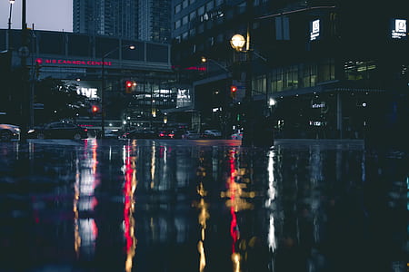 lighted street post near building and body of water during blue hour thumbnail
