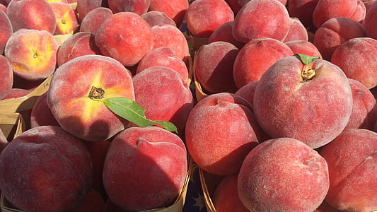 bunch of peaches thumbnail