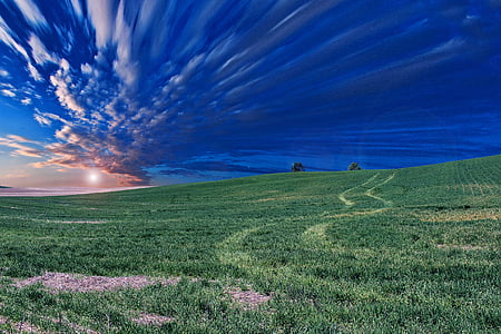 greenfield under blue and cloudy day thumbnail