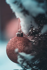 selective focus photography of bauble hanging on tree thumbnail