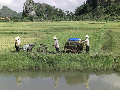 Farmers in Ninh Bình Province in Vietnam thumbnail