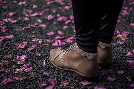 person wearing brown leather chukka boots standing on pink petaled flowers thumbnail