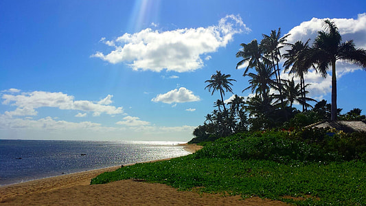 seashore and body of water photo thumbnail