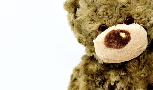 brown and white bear plush toy thumbnail