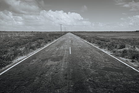 grayscale photography of road between grass field thumbnail