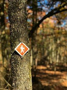 red and white signage on tree trunk selective focus photography thumbnail