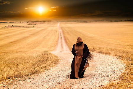 person in brown and black dress walking on road between dried grass field during golden hour thumbnail
