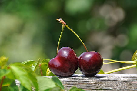 Close Up Photography of a Red Cherry Fruit thumbnail