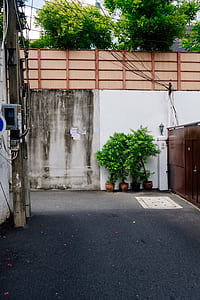 photo of empty pathway during daytime thumbnail