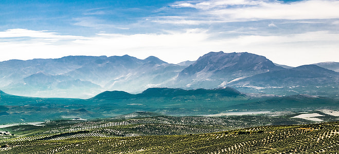 photo of mountain and green forest thumbnail
