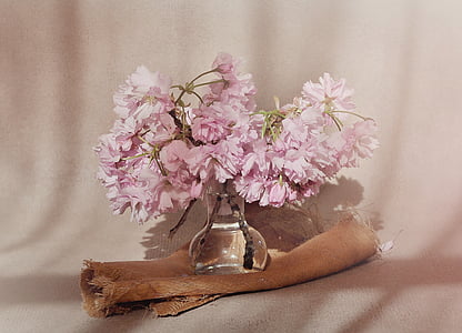 pink cluster flowers centerpiece in closeup photo thumbnail
