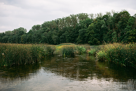 Summer river thumbnail