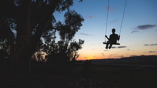 person riding swing on tree thumbnail